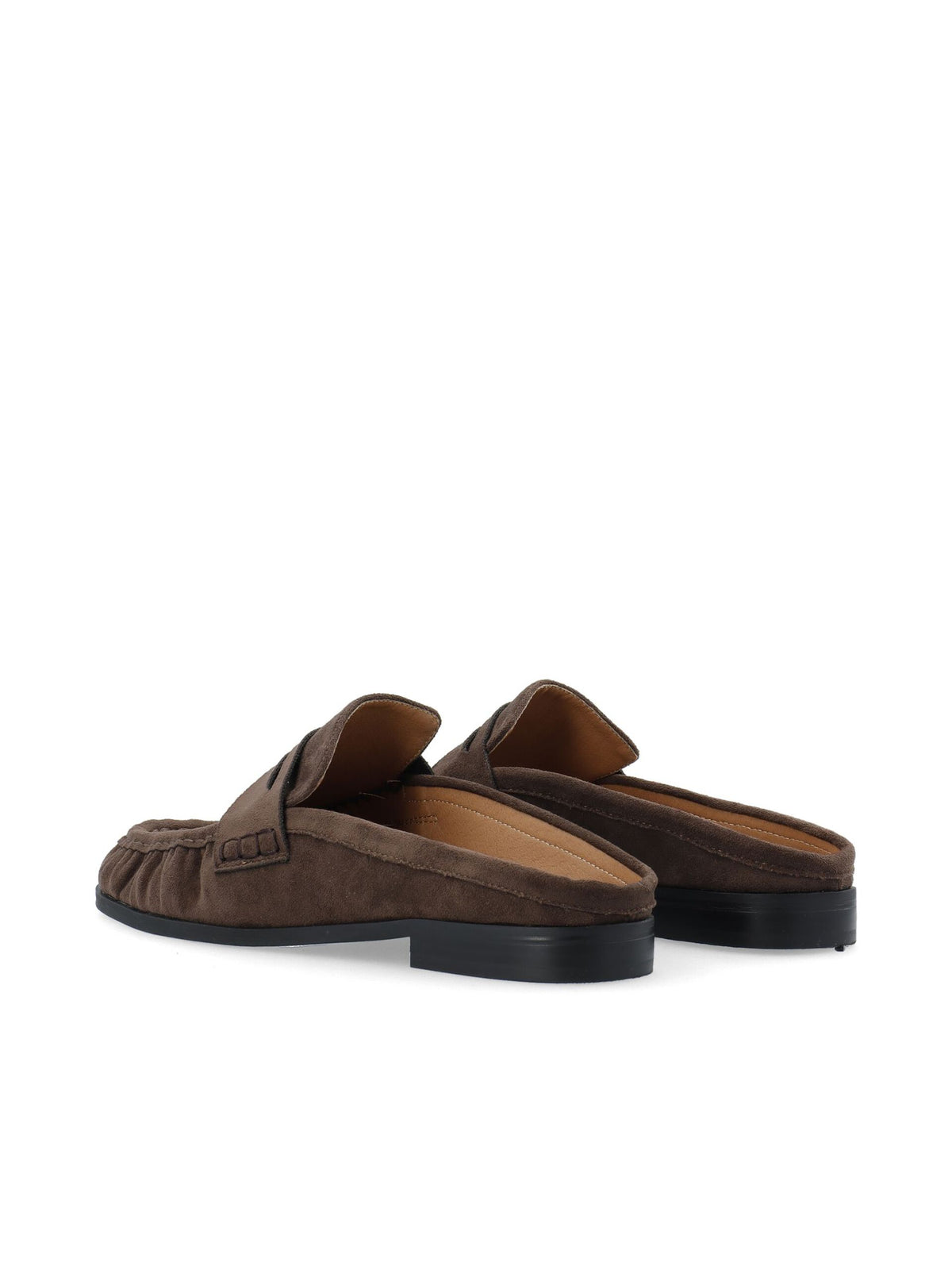 CARMA MULE