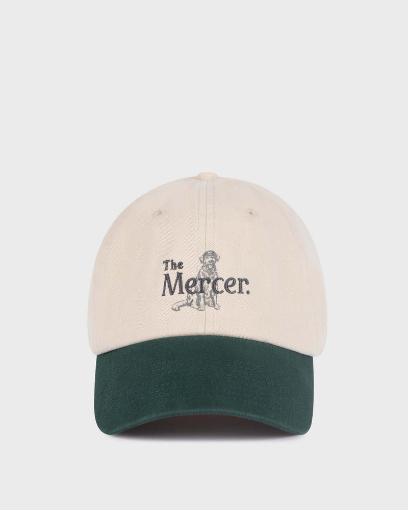 THE RISE WISE CAP