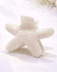 HAIR CLIP STAR