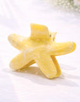 HAIR CLIP STAR